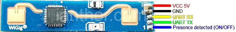 LD2410 pinout